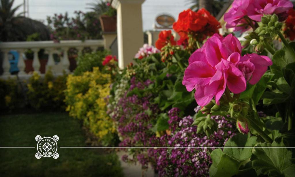 Villino Gregoraci Relais Bed & Breakfast Santa Marinella Exterior foto